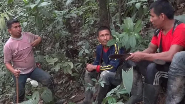 Pieza gráfica de la publicación